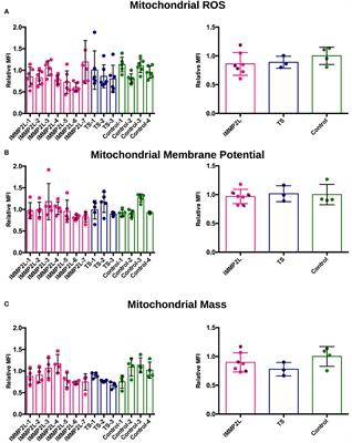 Mitochondrial Function in Gilles de la Tourette Syndrome Patients With and Without Intragenic IMMP2L Deletions